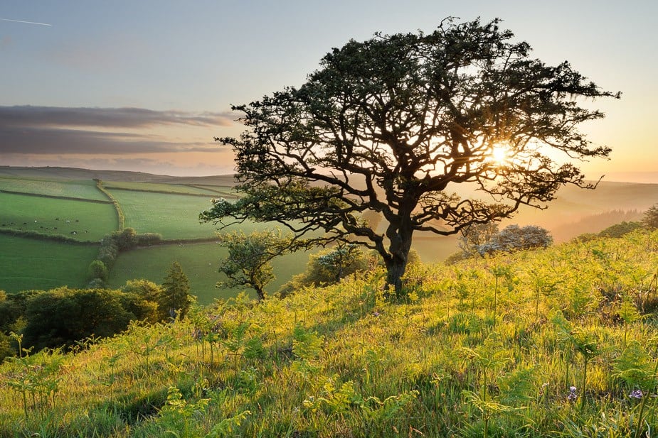 Beautiful Exmoor views